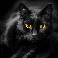 Oliver