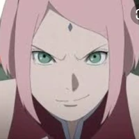 sakura ( alfa)