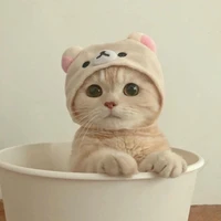 บราวนี่/แมวพู่กัน