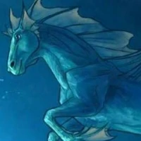 Cavalo-marinho