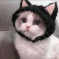บลาๆๆๆ