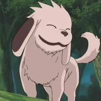 akamaru
