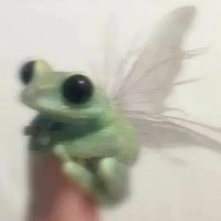 criadora
