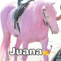 ¿.......?