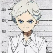norman