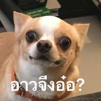 บักแอดขี้เกียด
