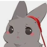 koyama (lapin)