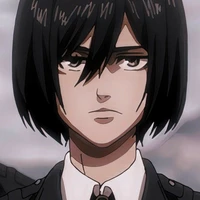 mikasa Ackerman