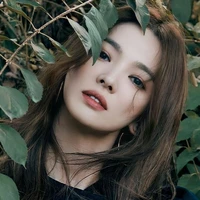 Violin Dendra[[mama]]