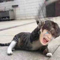 แอดเองงง