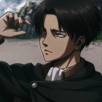 Levi