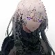 raven