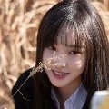 Yuju