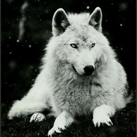 Eros * mascota de Atenea *