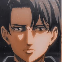 Levi