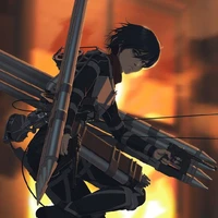Mikasa