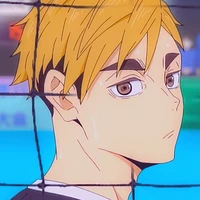 🐯Big Bear Atsumu✨