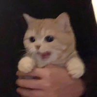 [นายเอกชาติก่อน]