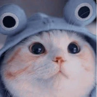 เเอดเอง
