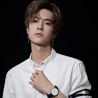 พ่อพระเอก:วิพล