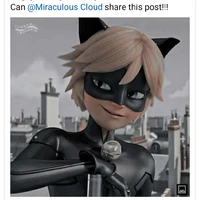 Catnoir