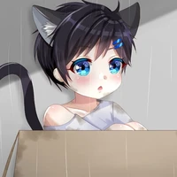 Dong(Gato negro)