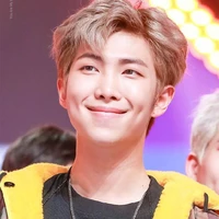 Kim Namjoon / RM