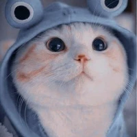 meowgust