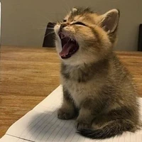 แอด