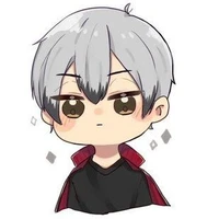 🇨 🇦 🇱 🇱 119