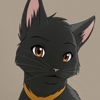 [gato]