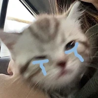 (Eu) Autora