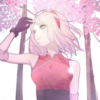 Sakura