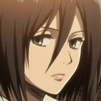 mikasa