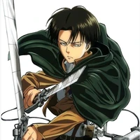Levi