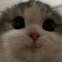 แอดเอง