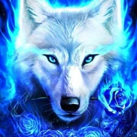 Duke (serigala putih)