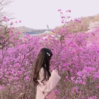 จ๋า/เพื่อนนอ