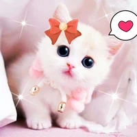 Kawaii Author