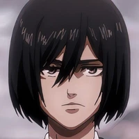 mikasa
