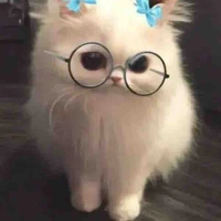 แอดเองคับ