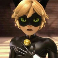Cat Noir