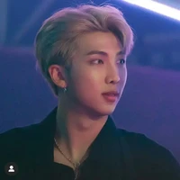 Kim Namjoon Alaska
