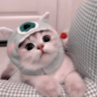 แอดเองงง