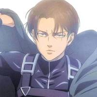 levi