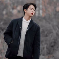Kim Seokjin (Jin)