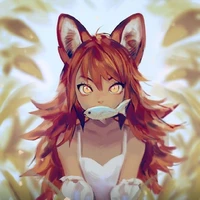kit