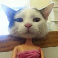 แอด (คนหล่อเองจ้า)
