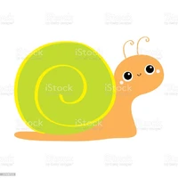 caracol