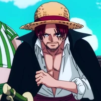Shanks